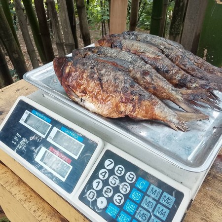Poisson-fume-frais